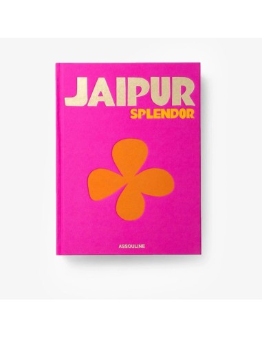 Livre Jaipur splendor pas cher